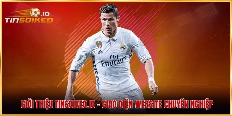 Giới thiệu cookii.io - Giao diện website chuyên nghiệp
